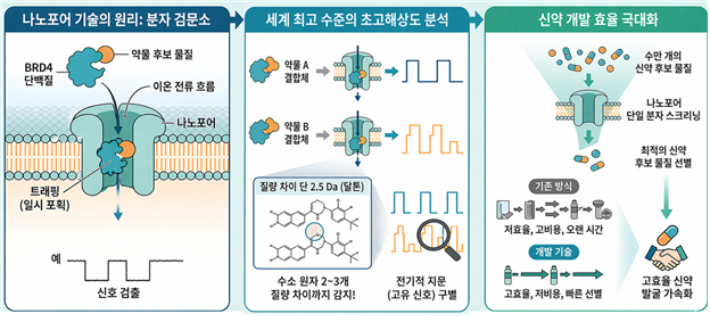 원자 수준 고해상도로 단백질-약물 결합 판별하는 나노포어 센서가 개발됐다. 생명연 제공