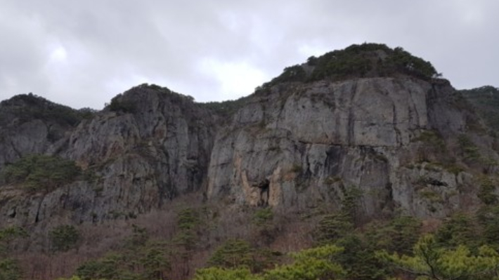 연합뉴스