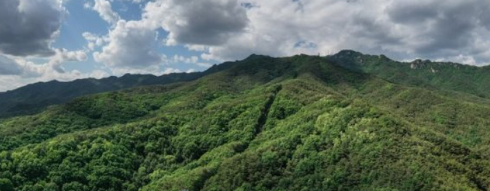 팔공산. 연합뉴스