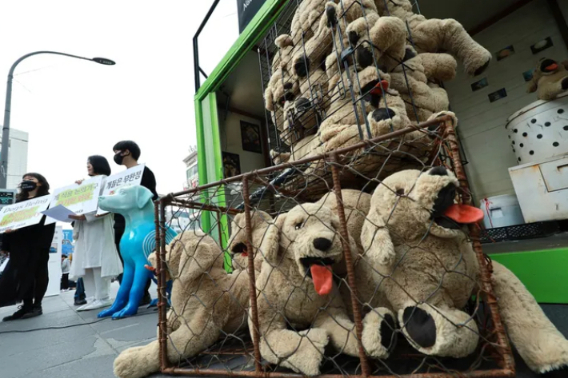 연합뉴스