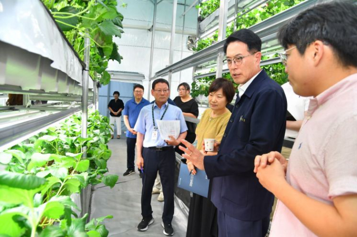 울산 울주군 범서읍 사계절 딸기 스마트팜 농가 현장. 울주군 제공