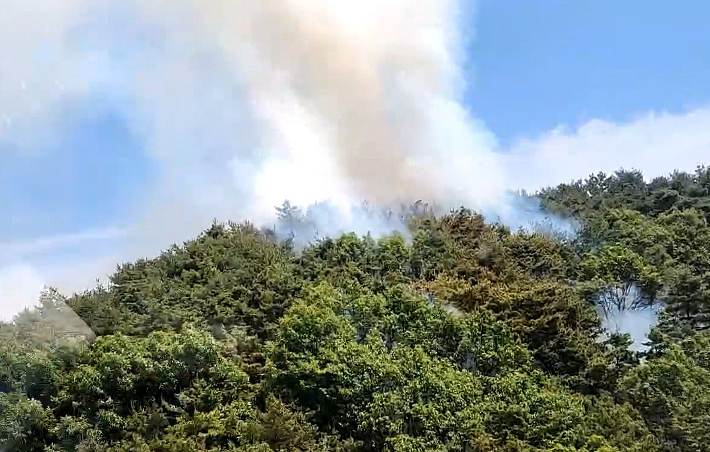19일 오후 12시 16분쯤 경북 고령군 성산면의 한 야산에서 불이 났다. 산림청 제공