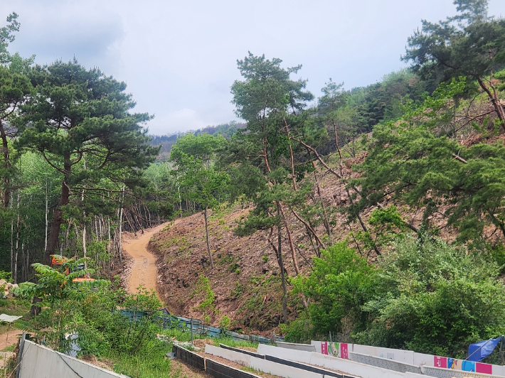 산불 피해를 입은 대구 북구 함지산. 대구시 제공