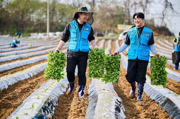 KT&G 임직원 봉사단이 지난달 15일 충청북도 진천군에 위치한 잎담배 농가에서 모종이식 봉사활동을 진행하고 있다. KT&G 제공