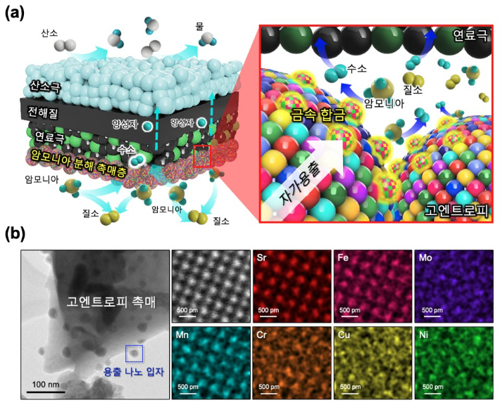 고엔트로피 촉매가 적용된 암모니아 연료 기반 PCFC 모식도(위쪽)와 고엔트로피 촉매 미세구조 및 원소 분포 결과. KAIST 제공