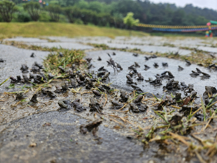 대구 수성구 제공