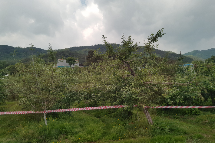 충북도 제공