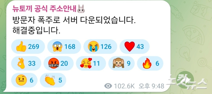 '뉴토끼' 주소 공유 텔레그램. 김정록 기자