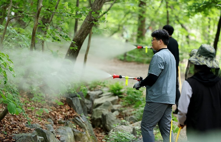 서울시와 노원구, 삼육대학교 관계자들이 7일 서울 노원구 불암산 일대에서 붉은등우단털파리(러브버그) 방제를 위한 유충구제제를 살포한 뒤 물을 뿌리고 있다. 연합뉴스