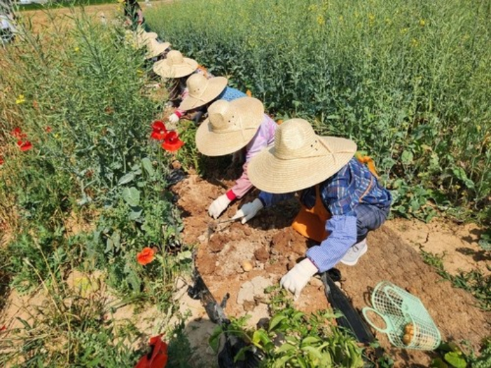 위 사진은 기사와 무관함. 연합뉴스