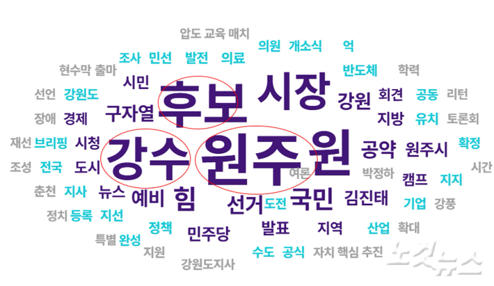 원강수 후보 워드클라우드 분석 결과 