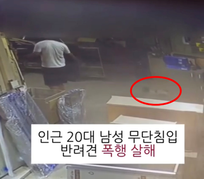동물보호단체 케어 소셜미디어 캡처