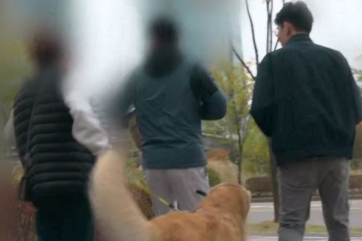 웨이브 제공
