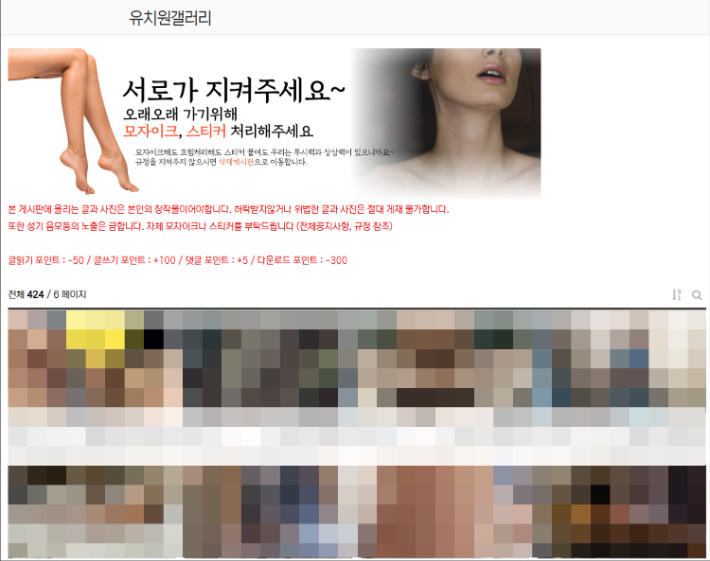 집단 성관계 및 음란행위 영상이 공유되던 사이트. 서울경찰청 제공