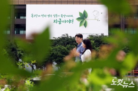 교보생명, 광화문글판 여름 맞이 새단장