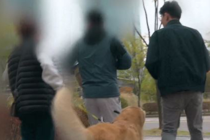 웨이브 제공