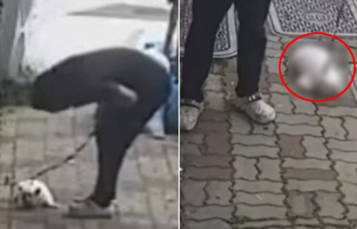나뭇가지로 '퍽퍽', 버티자 '질질'…반려견 학대 영상 논란