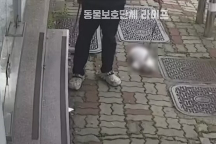 지난 3일 오후 3시쯤 광주 서구 쌍촌동에서 발생한 개 학대 영상. 동물보호단체 '라이프' 인스타그램 캡처