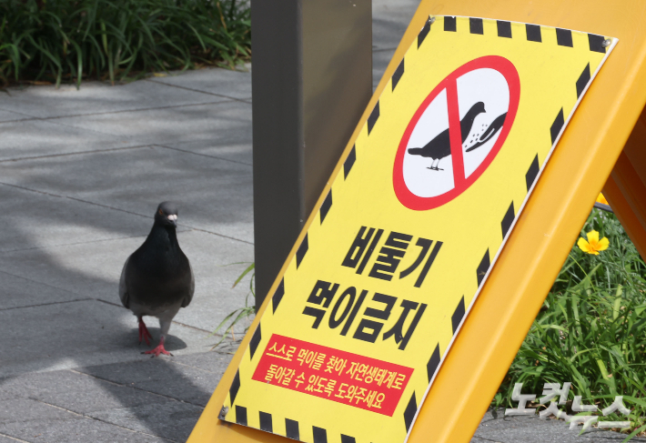 황진환 기자