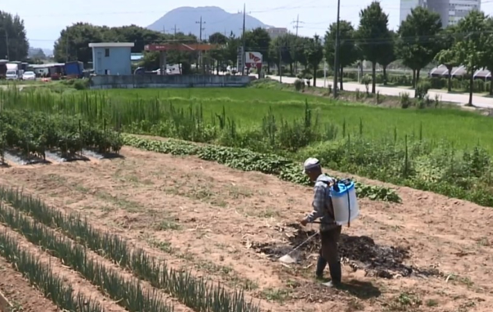 연합뉴스