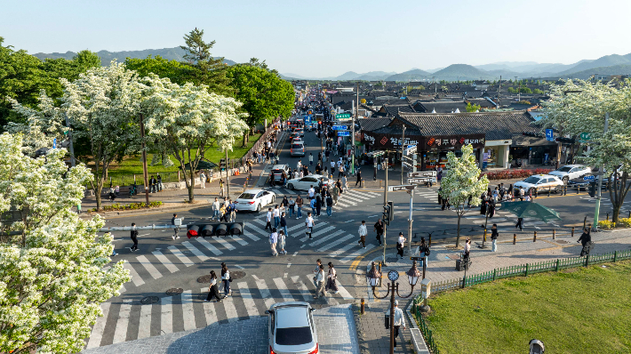 황리단길과 대릉원 일대를 찾은 관광객들이 경주의 역사문화유산과 다양한 먹거리·관광 콘텐츠를 즐기고 있다. 경주시 제공