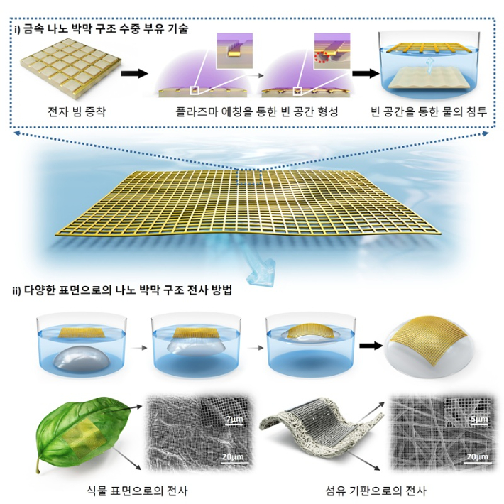 금속 박막 나노구조 수중 부유 기술 및 전사 공정 모식도. KAIST 제공