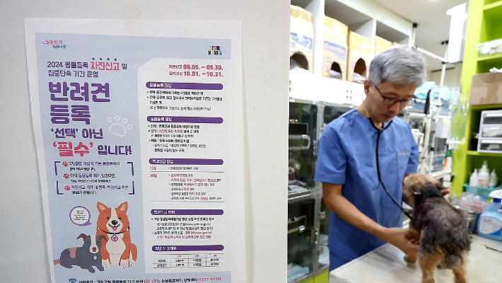 기사와 직접적 관련 없음. 연합뉴스