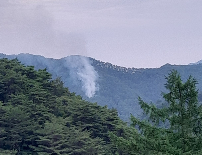 17일 오후 5시 54분쯤 경북 영양군 영양읍 상원리의 야산에서 불이 나 3시간 만에 진화됐다. 경북소방본부 제공 