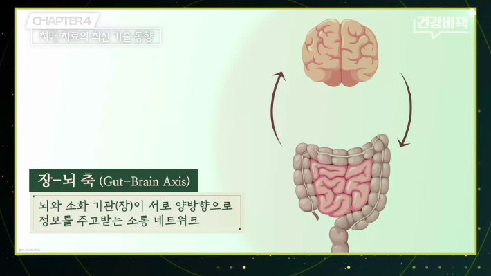 서울대학교 의과대학 묵인희 교수 편 '건강비책' 유튜브 캡처