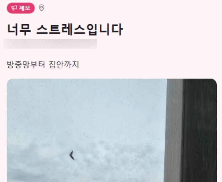 '러브버그닷컴' 캡처