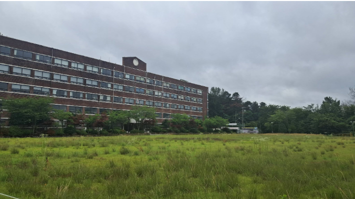 광주회생법원이 학교법인 양남학원에 대한 파산을 선고한 가운데 광양보건대학교 캠퍼스에 잡초가 무성하게 자라 있다.독자 제공 