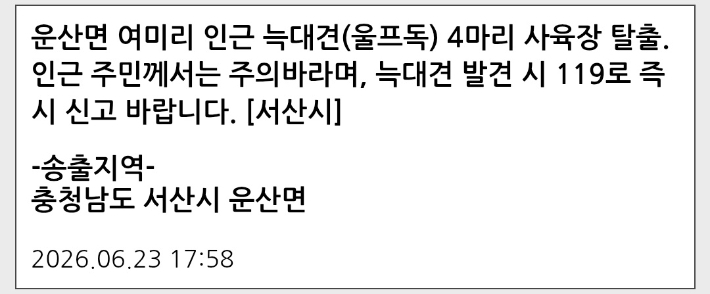재난문자 캡처