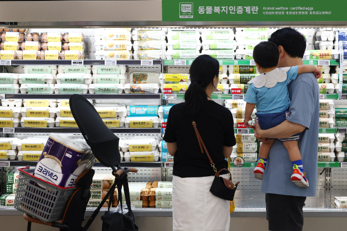 서울의 한 대형마트 계란 판매대 모습. 연합뉴스