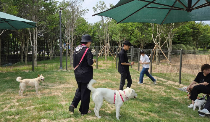 광주 서구 풍암생활체육공원에 위치한 공공 반려견 놀이터. 광주 서구 제공