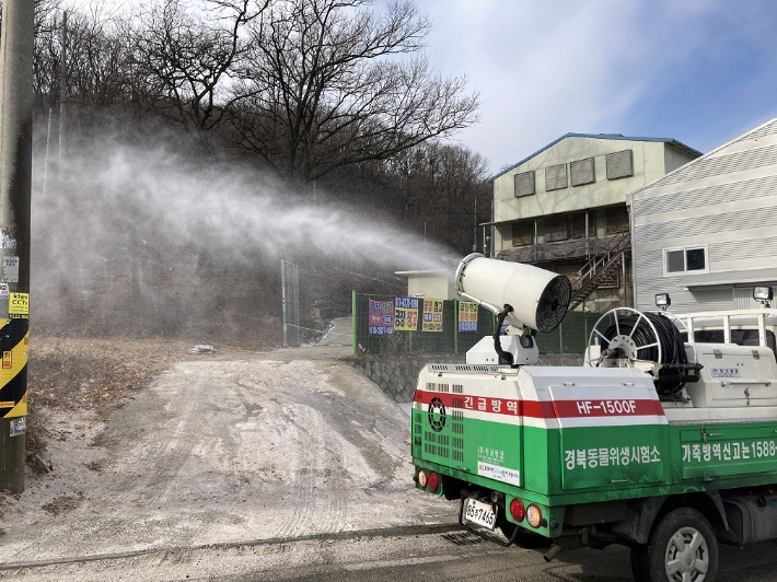 경북도, 집중호우로 아프리카돼지열병 농가 유입 차단 방역 강화