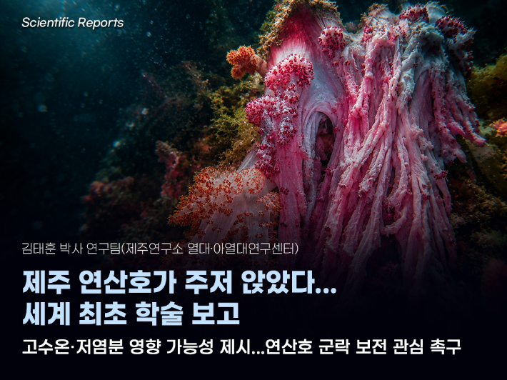한국해양과학기술원 제공