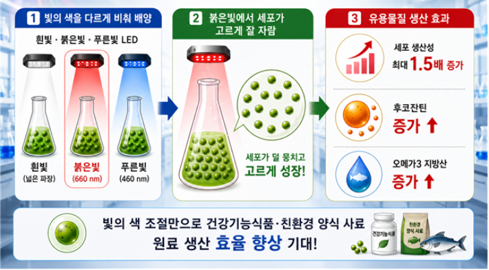 연구 요약 모식도. 생명연 제공
