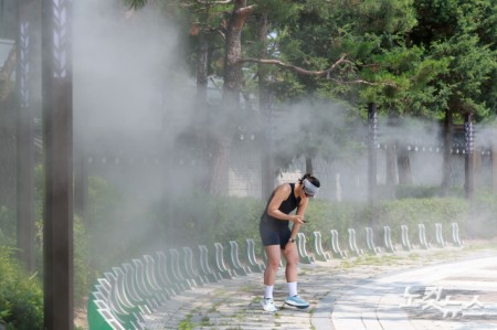 서울 전역에 폭염주의보가 발효된 가운데 서울 종로구 청와대 앞 분수대 광장에서 쿨링포그가 가동되고 있다.