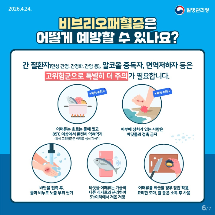 비브리오패혈증 예방수칙. 광주특별시 제공