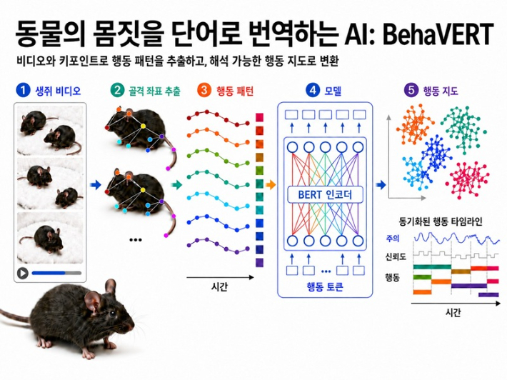 BehaVERT 파이프라인 전체 개요도. KAIST 제공