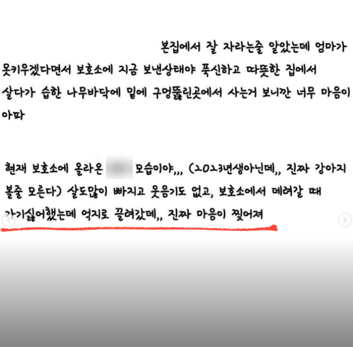 동물보호연대 SNS 캡처
