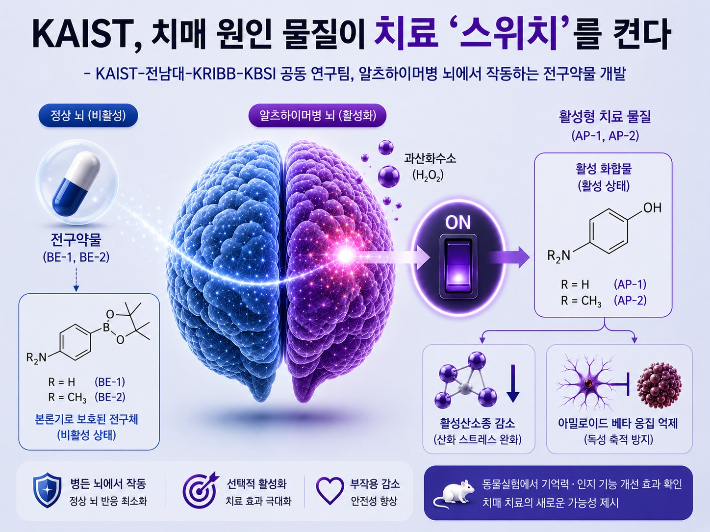 KAIST 제공