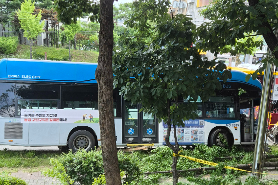 독자 제공
