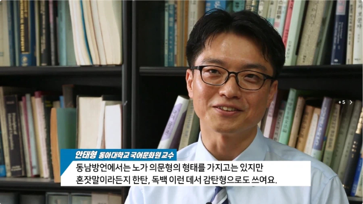 지난 2019년 언어학자 안태형 동아대 교수가 동남방언에 대해 설명하는 모습. '헬로tv뉴스' 유튜브 영상 캡처
