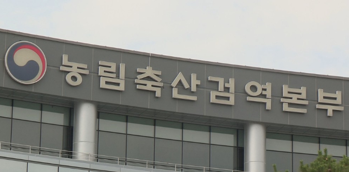 연합뉴스