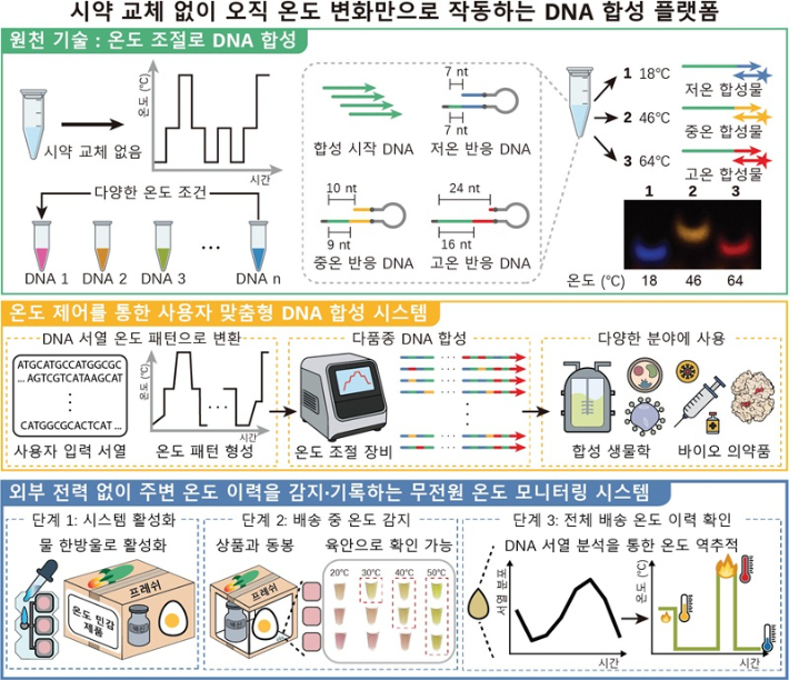 온도 제어만으로 맞춤 DNA 서열 합성이 가능한 다목적 DNA 합성 플랫폼. KAIST 제공