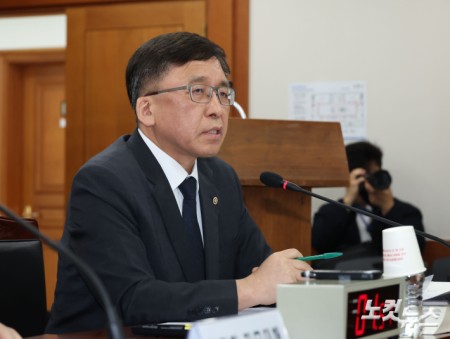 질의에 답하는 중앙선관위 사무총장 직무대리