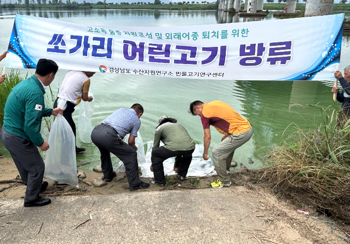 쏘가리 방류. 경남도청 제공 