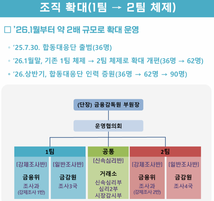 합동대응단 조직 현황. 금융위원회 제공