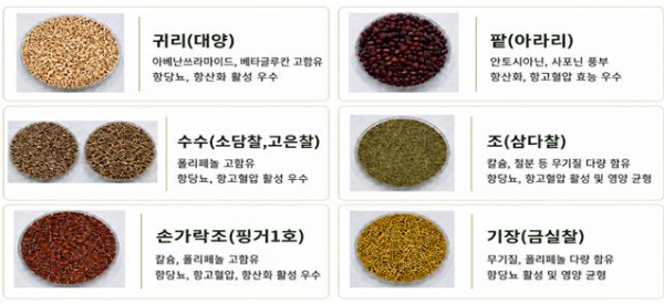 33맞춤형 혼합잡곡 주요 원료 품종. 농촌진흥청 제공